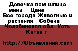 Девочка пом шпица мини  › Цена ­ 30 000 - Все города Животные и растения » Собаки   . Челябинская обл.,Усть-Катав г.